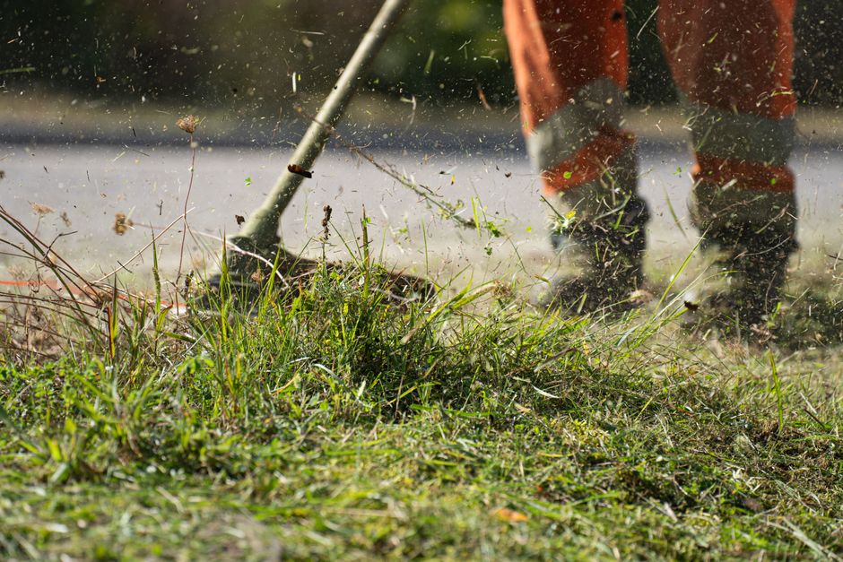 Close-up of a grass cutter trimming green grass