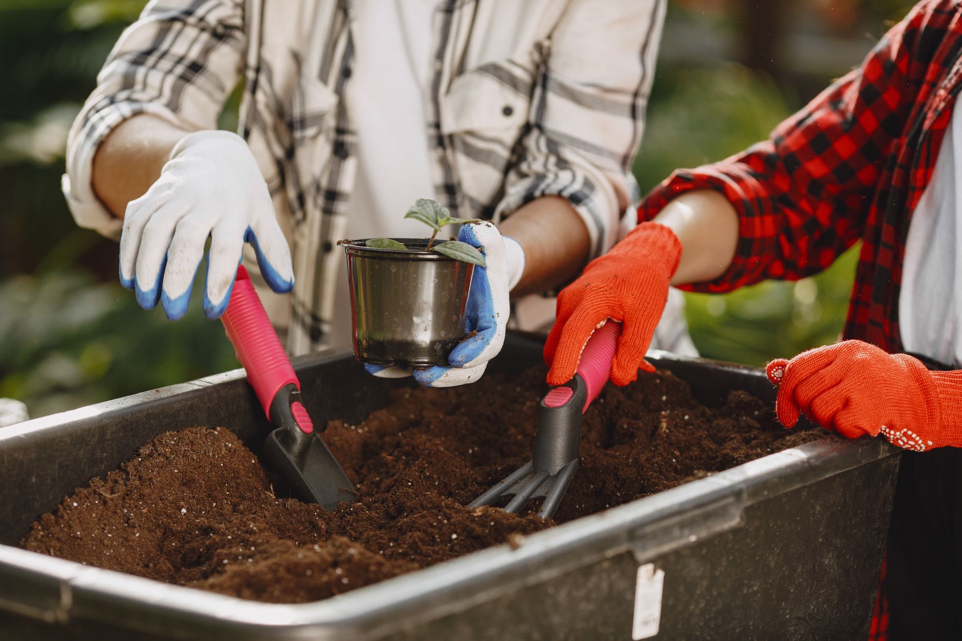 Gardening with a trowel and rake beside a potted plant