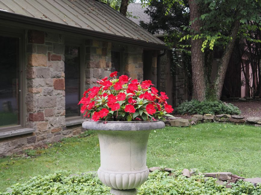 Planting and lawns